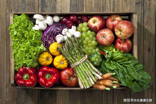 深圳市龍華區供港蔬菜首次出口 餐飲管理的協同創新與市場機遇