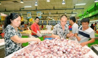 陵川7月主糧市場動態(tài) 玉米收購價小幅波動，米面油價格平穩(wěn)